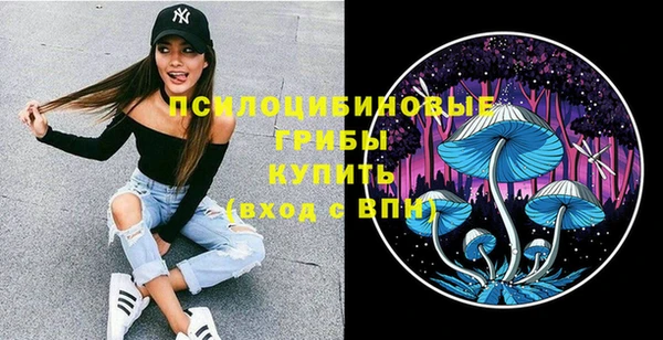 стафф Аркадак