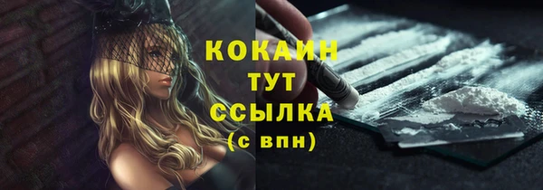 стафф Аркадак