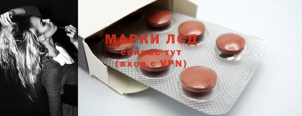 стафф Аркадак