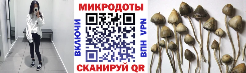 Галлюциногенные грибы GOLDEN TEACHER  Пугачёв 